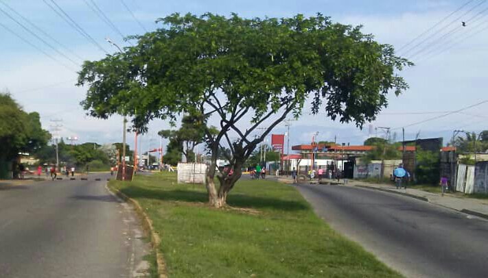 Habitantes de Barinas cierran la av Agustín Figueredo por falta de gas doméstico #30Oct