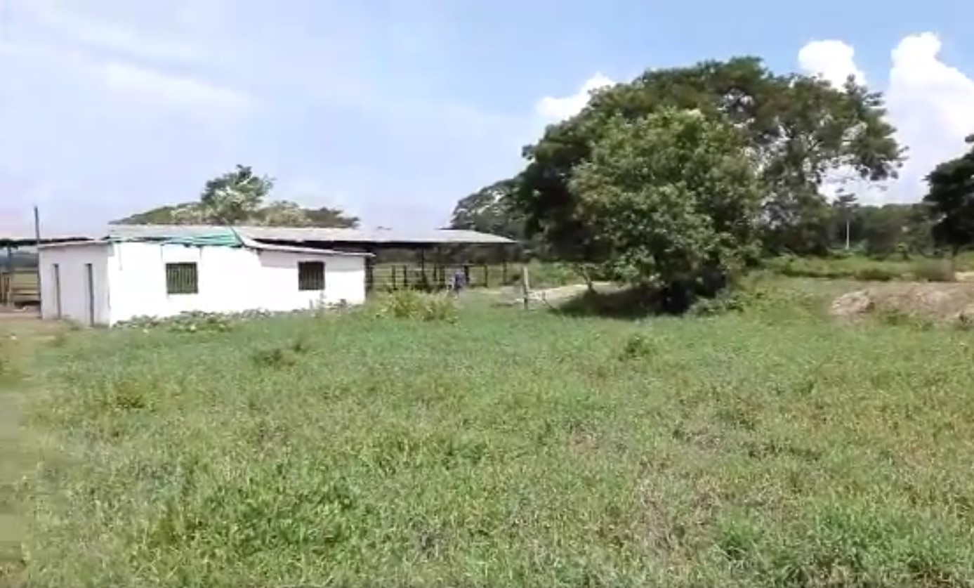 Denuncian que una comisión de la ANC intentó desalojar la finca Las Adjuntas en Zulia (Video)