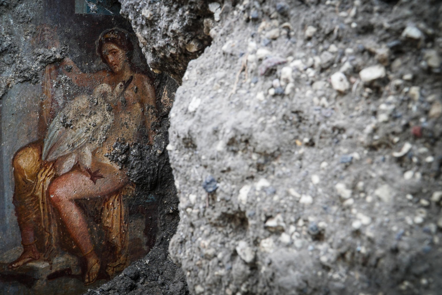 Descubren un fresco del mito griego de Leda y el cisne en Pompeya (fotos)