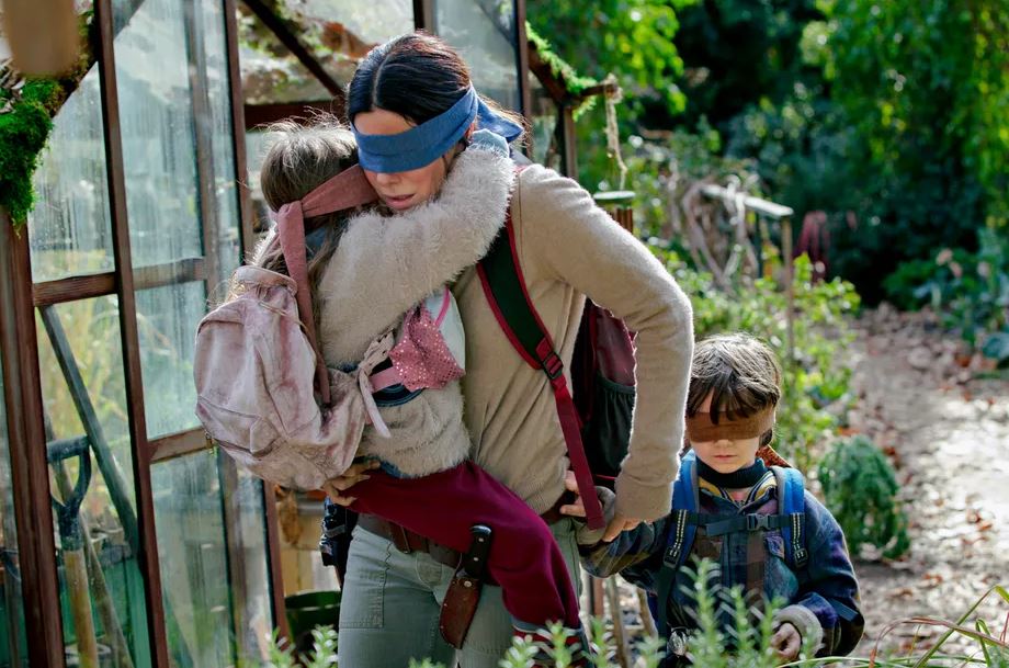 Netflix advierte a las personas que no hagan el #BirdBoxChallenge