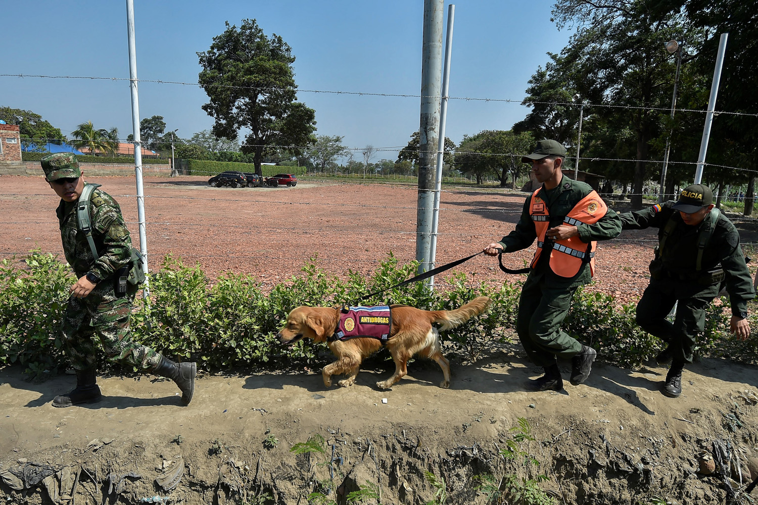 EN IMÁGENES: Hasta con los perros huyeron los militares venezolanos hacia Colombia