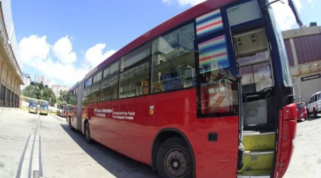 “Escalera humana”: La nueva técnica que usan para robar teléfonos en los buses