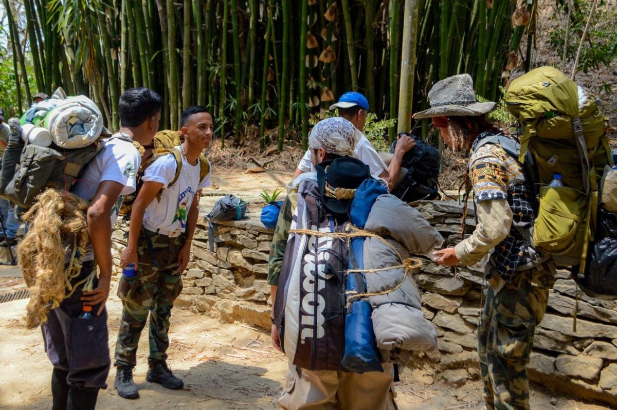 Palmeros de Chacao mantienen viva una tradición de más de 200 años