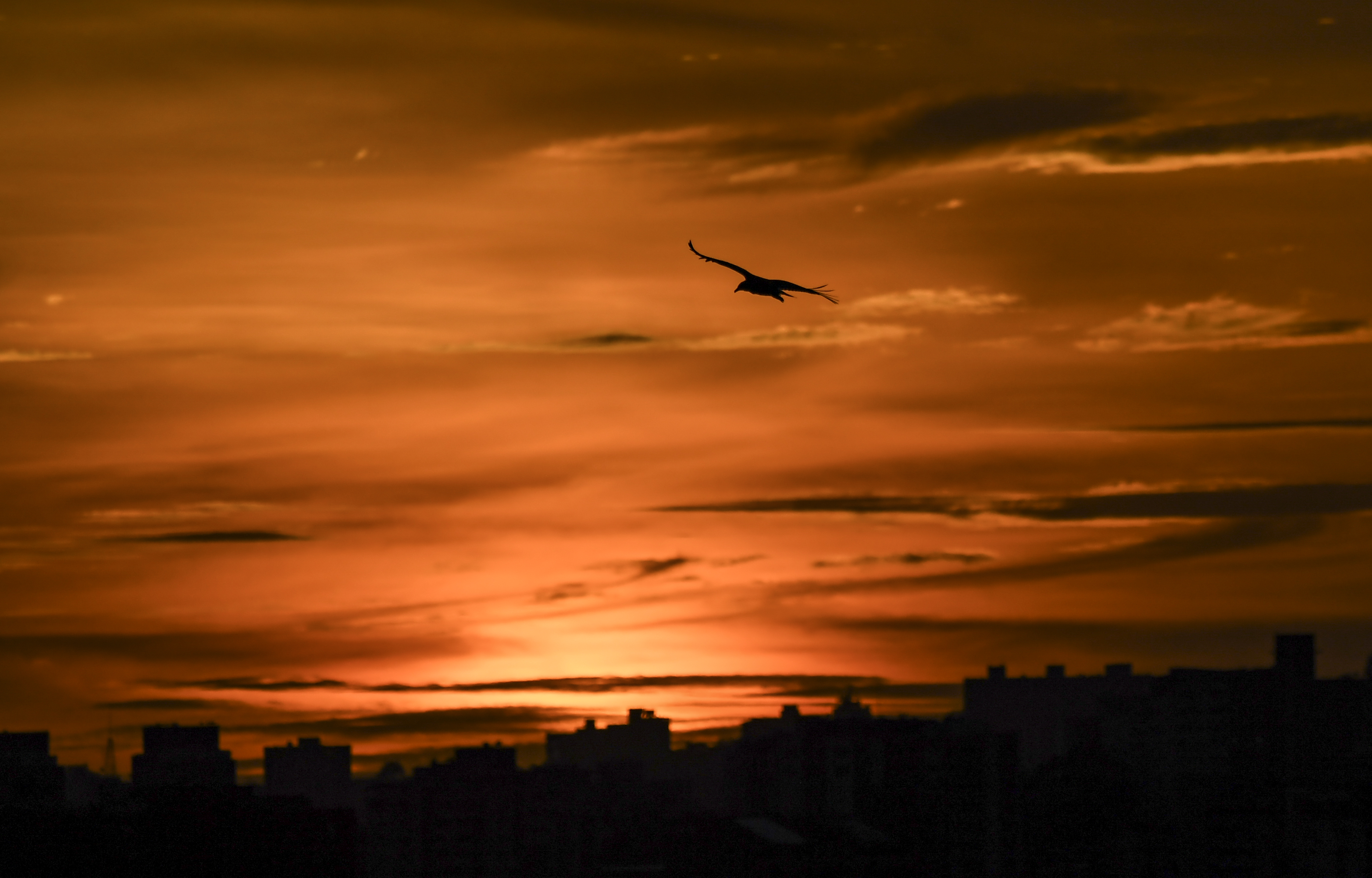 EN FOTOS: El atardecer en Caracas