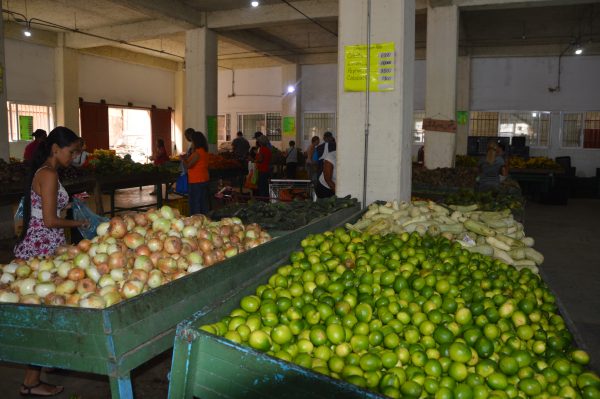 Cosechas provenientes del Táchira se pierden por falta de gasolina