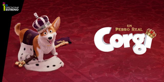 “Corgi: Un perro real”