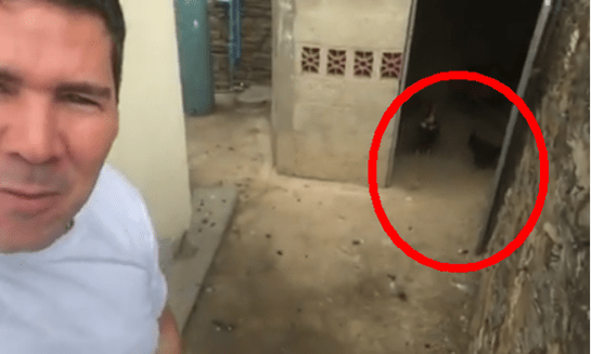 ¿Winston Vallenilla tiene huevos? El rodilla en tierra presume su criadero de gallinas ponedoras (VIDEO)