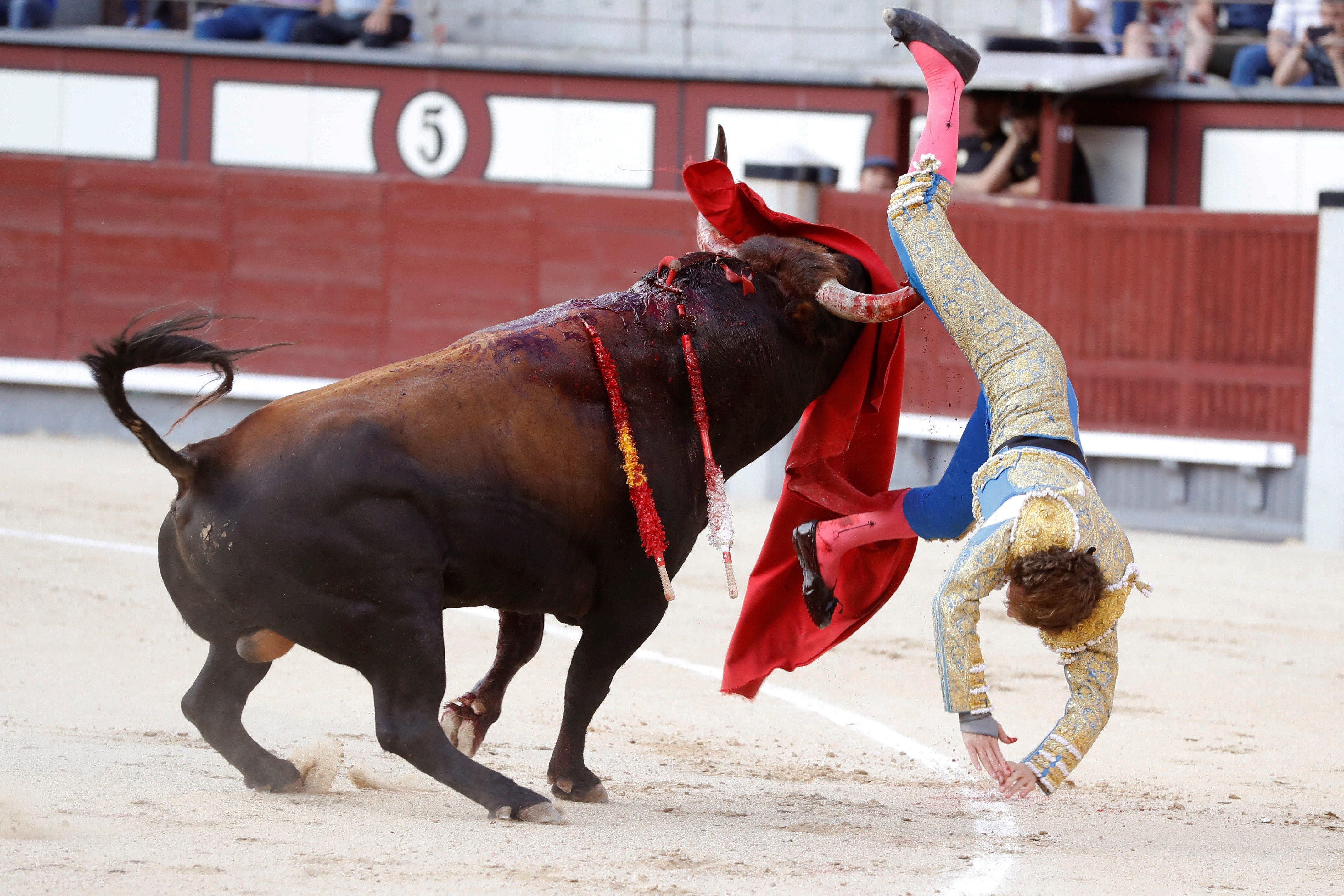 La BRUTAL cornada de 20 centímetros que recibió este torero (Imágenes fuertes)