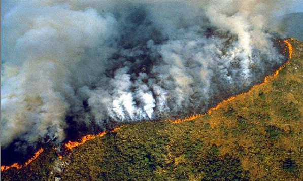 Brasil sufre mayor número de incendios en la selva amazónica desde 2007