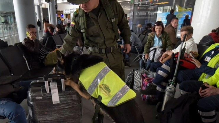 Capturan en Colombia a mujer que pretendía traficar cocaína dentro de sus muslos (Fotos)