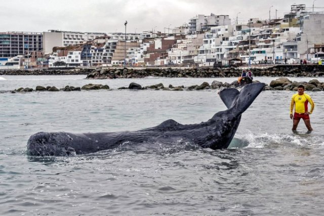 Foto: AFP