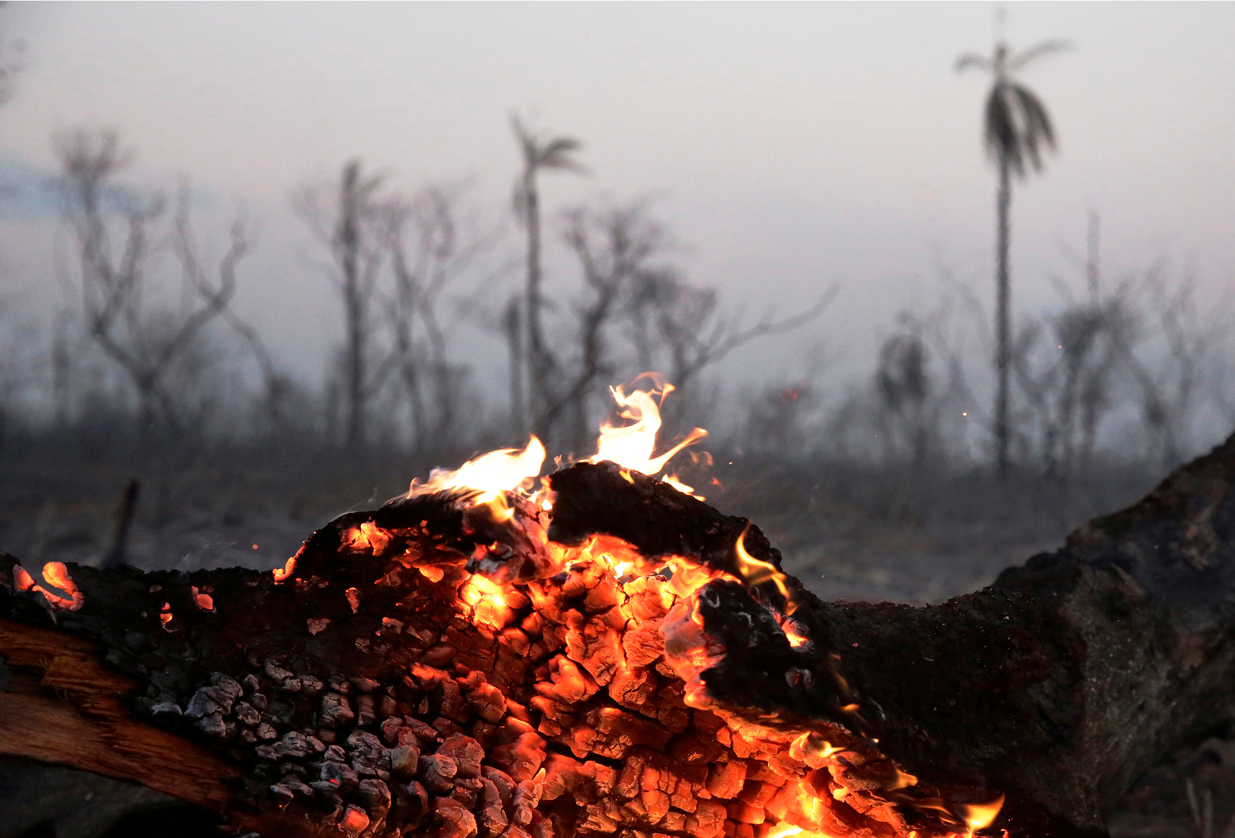 Bolivia suma más apoyos de la comunidad internacional para combatir incendios