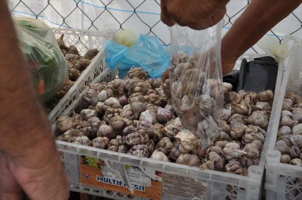 El kilo de ajo casi dobla el salario de un trabajador