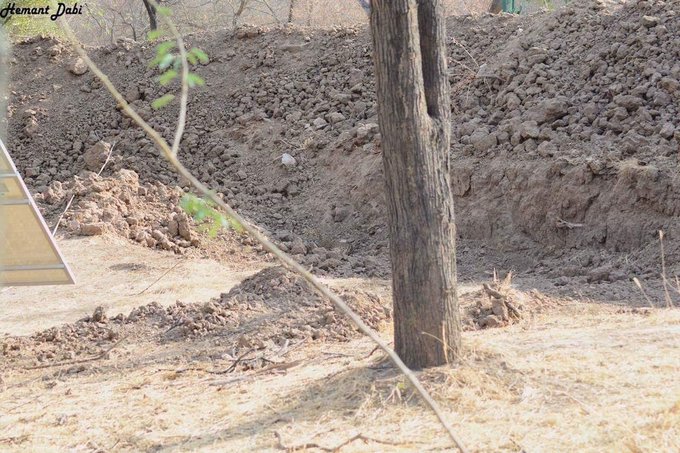 RETO VIRAL: ¿Puedes ver al leopardo escondido en esta curiosa fotografía?