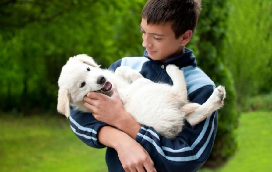 ¡Enhorabuena! Por primera vez en España, un colegio estrena asignatura sobre protección animal