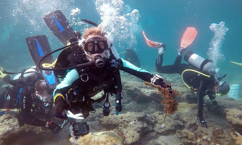 Fort Lauderdale: Mega evento comunitario ‘SOS’ intenta salvar el océano