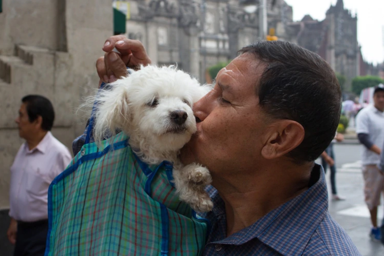 Su perrito le lamió la cara, contrajo una extraña bacteria y murió por una sepsis fulminante