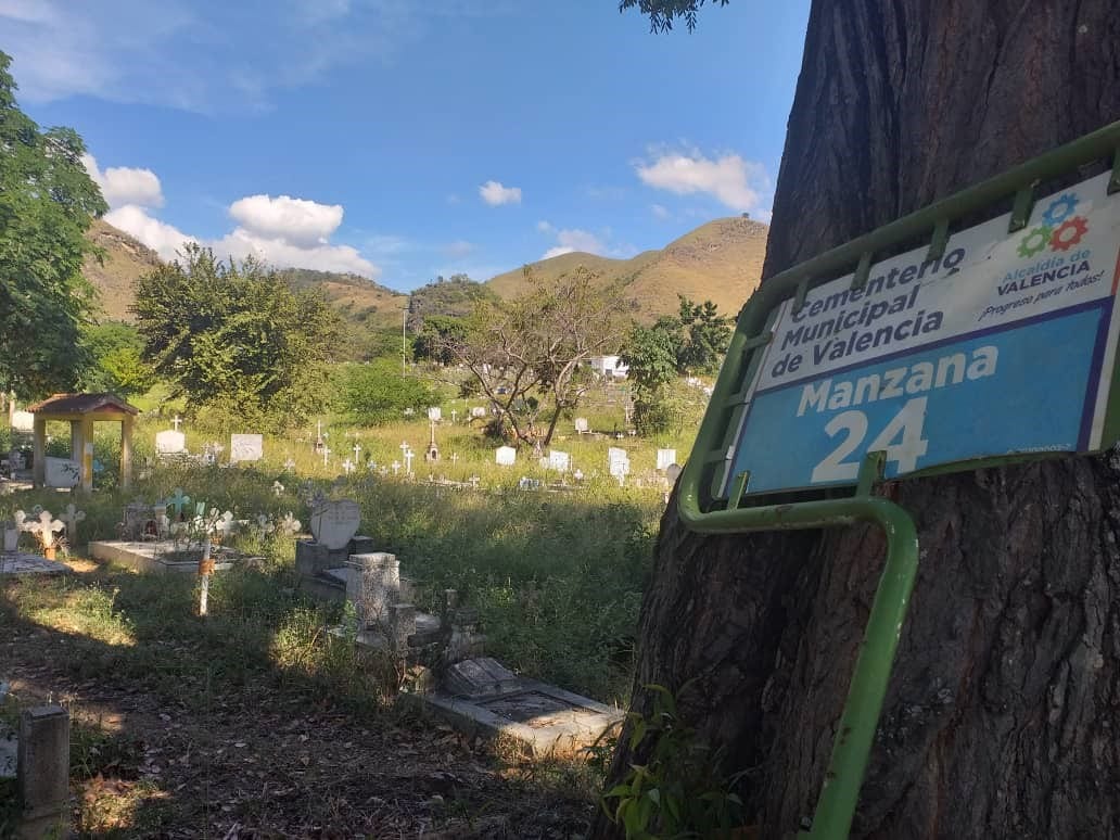 Para enterrar a un difunto en el Cementerio Municipal de Valencia hay que llevar los materiales