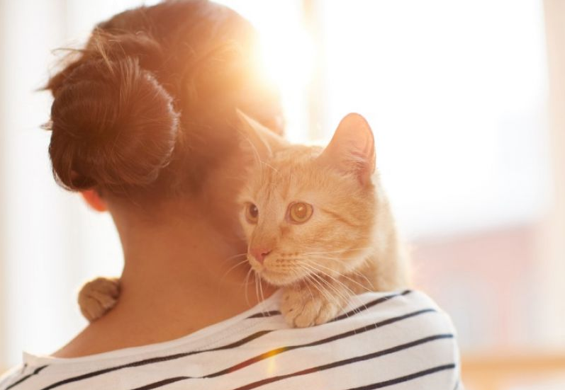 La extraña habilidad de los gatos: Saben dónde estamos, incluso sin vernos