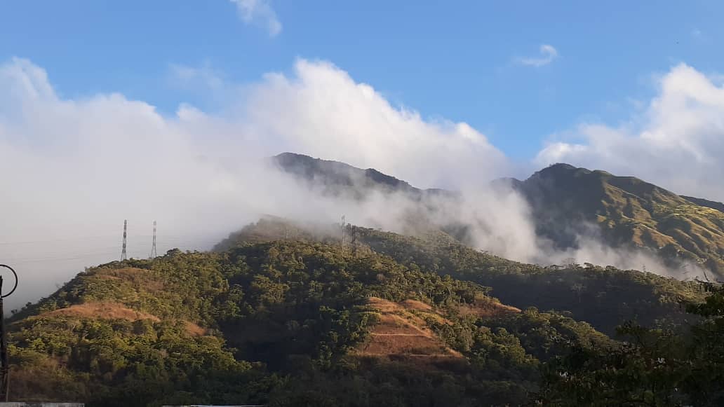 ¿Hay condiciones para incendios masivos en el Ávila?