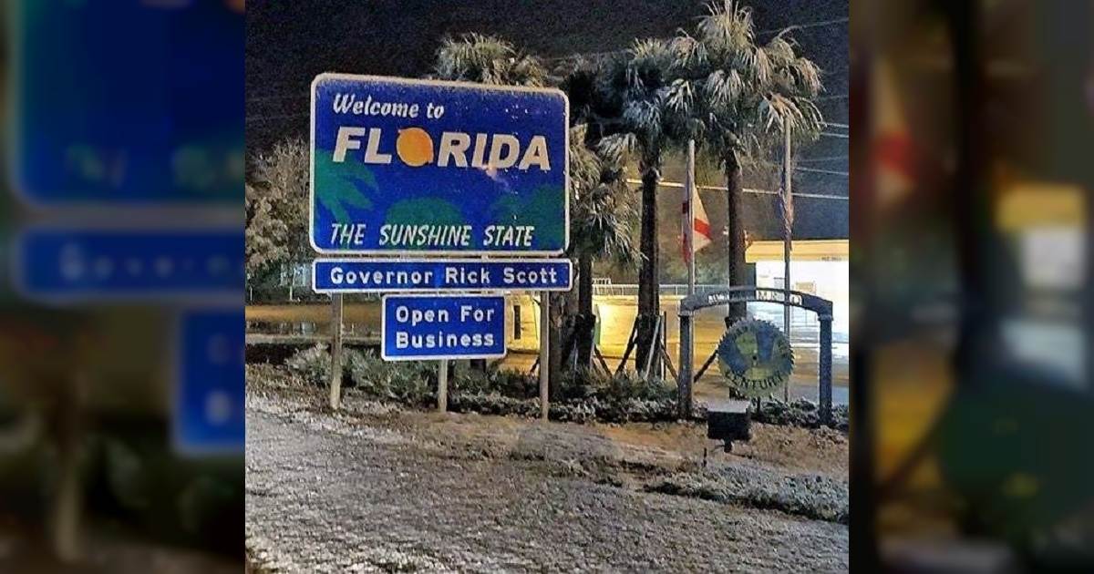 Esta nevando en Florida