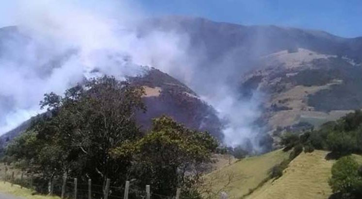 Fauna del páramo de La Negra en Táchira huye para evitar los incendios (Fotos)