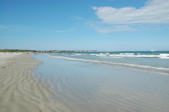 Hombre descubre extraña muñeca hecha de cocos con dientes humanos y piel de serpiente en playa de Cabo Cañaveral