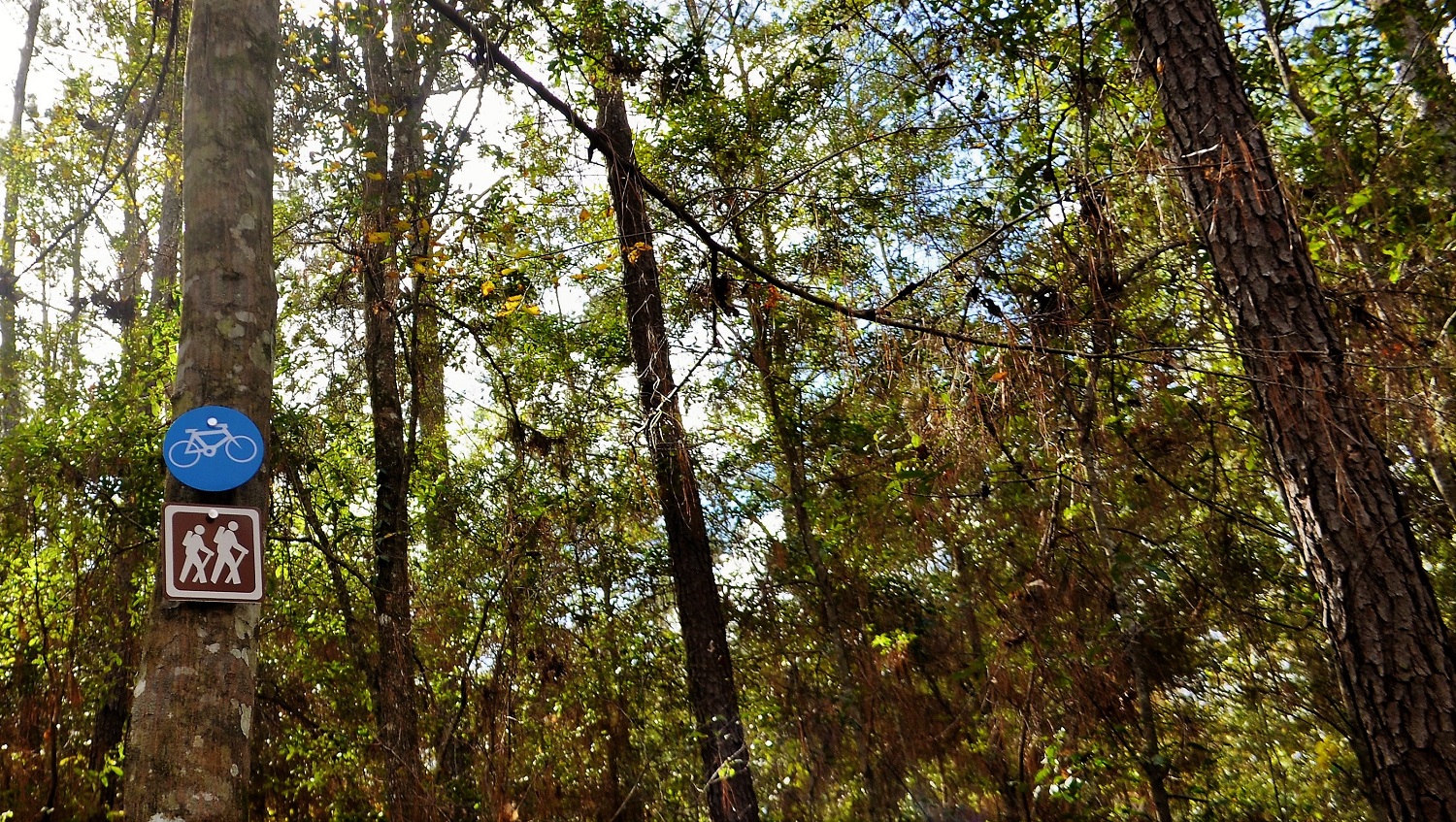 Todos los parques estatales de Florida cierran a partir de este lunes