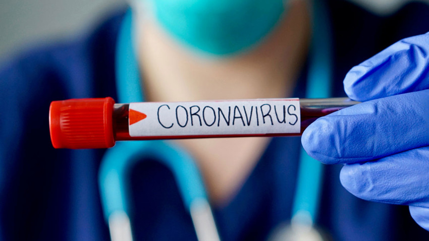 La película que predijo al coronavirus hace diez años, es la solicitada en la actualidad (VIDEO)