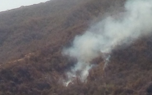 Reportan incendio forestal en Montalbán frente al cardiólogo infantil (Foto)