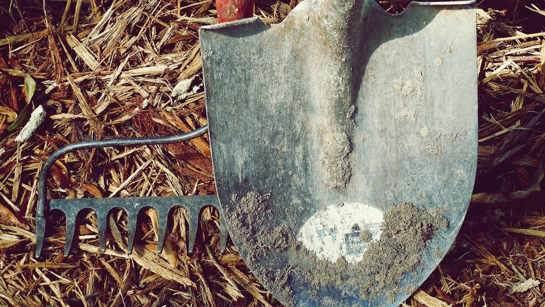 ¡Insólito! Encontró un auto de los años 1950 enterrado en su jardín (FOTOS)