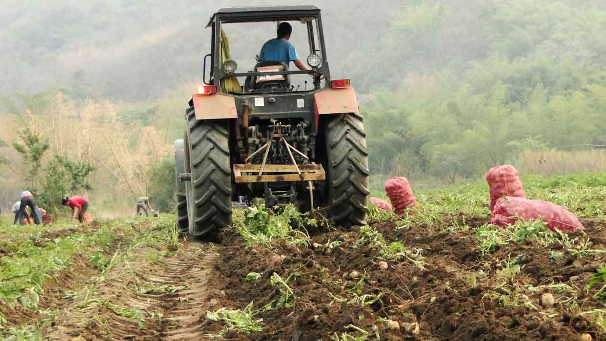 Plan País duplicará la producción de alimentos en los primeros 12 meses (Video)