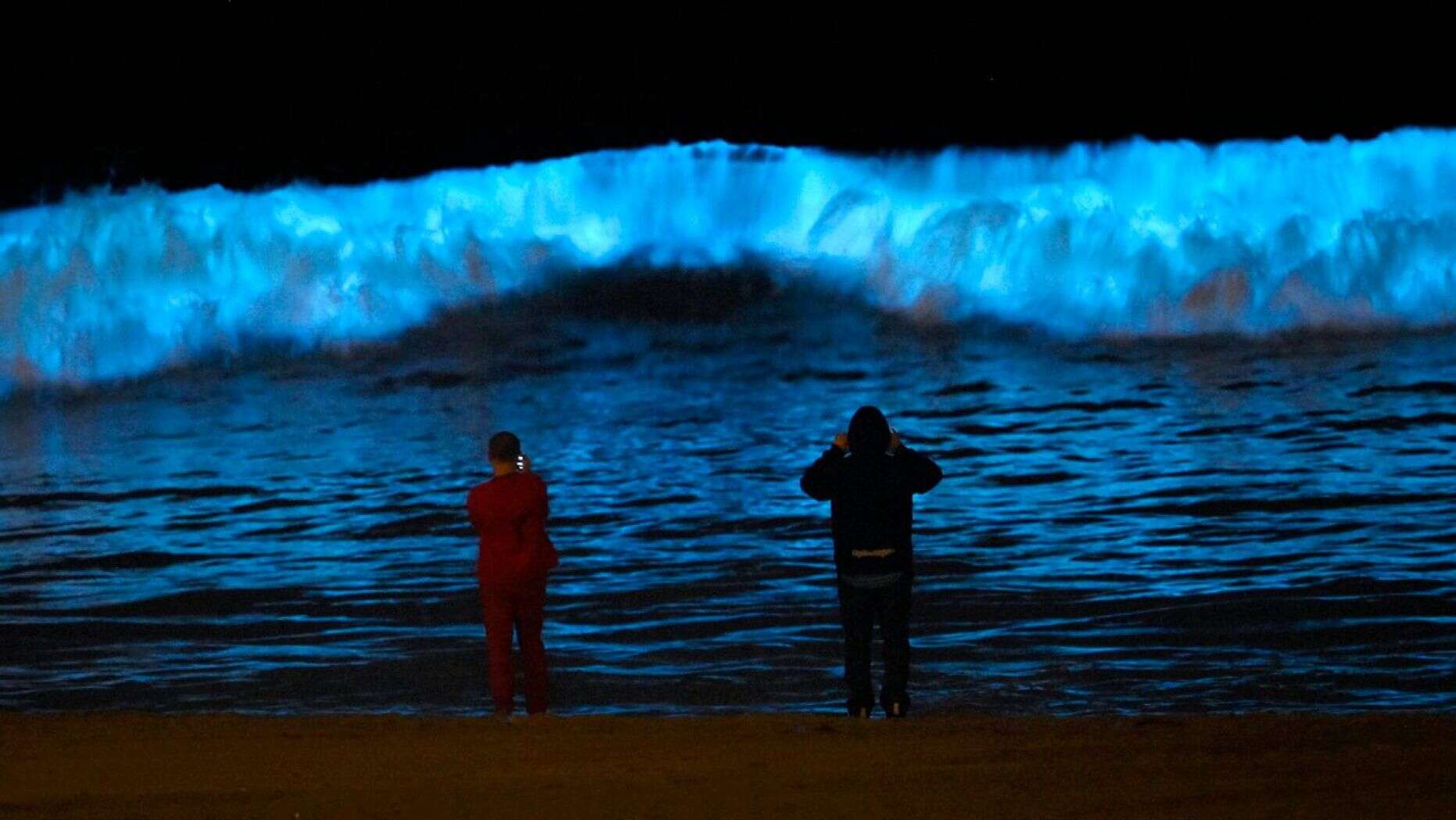 Raras olas de neón azul atraen multitudes a las playas de California