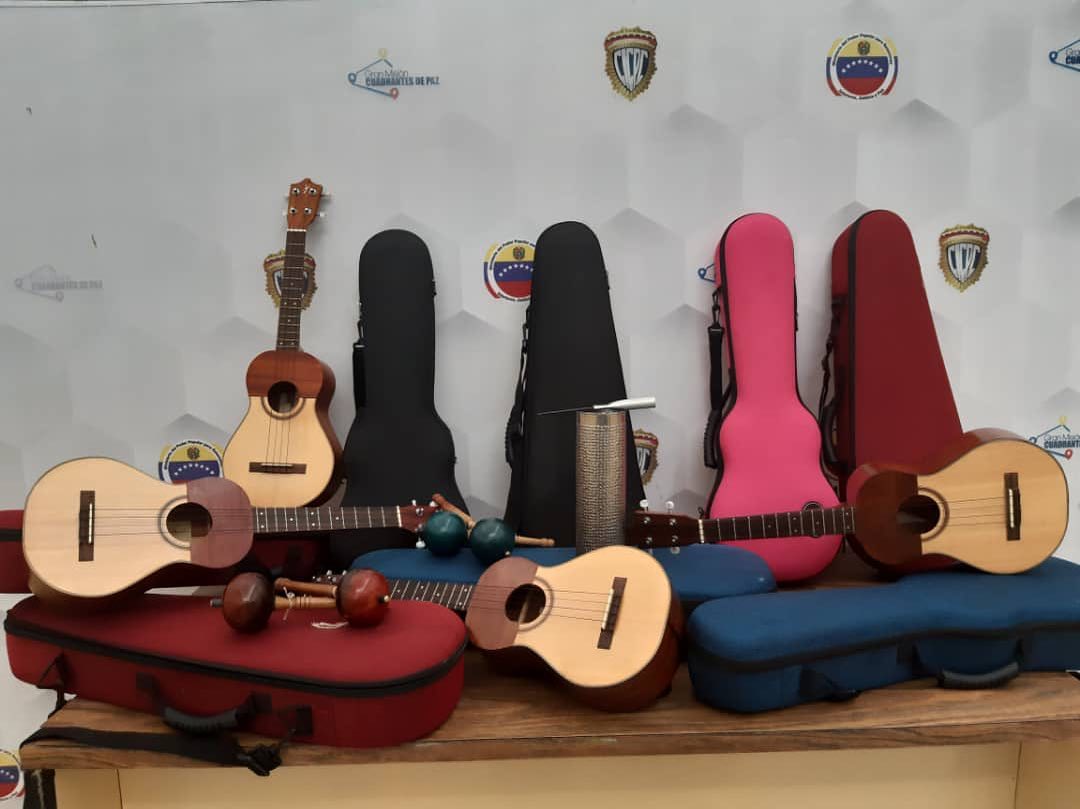 Capturaron a dos antisociales que hurtaron instrumentos musicales de la sinfónica en Guárico