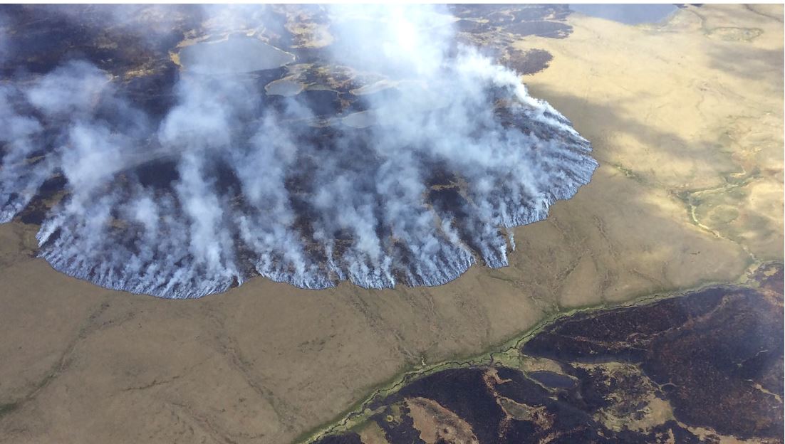 ¡Más locura del 2020! Científicos alertaron sobre “incendios zombies” en el Ártico