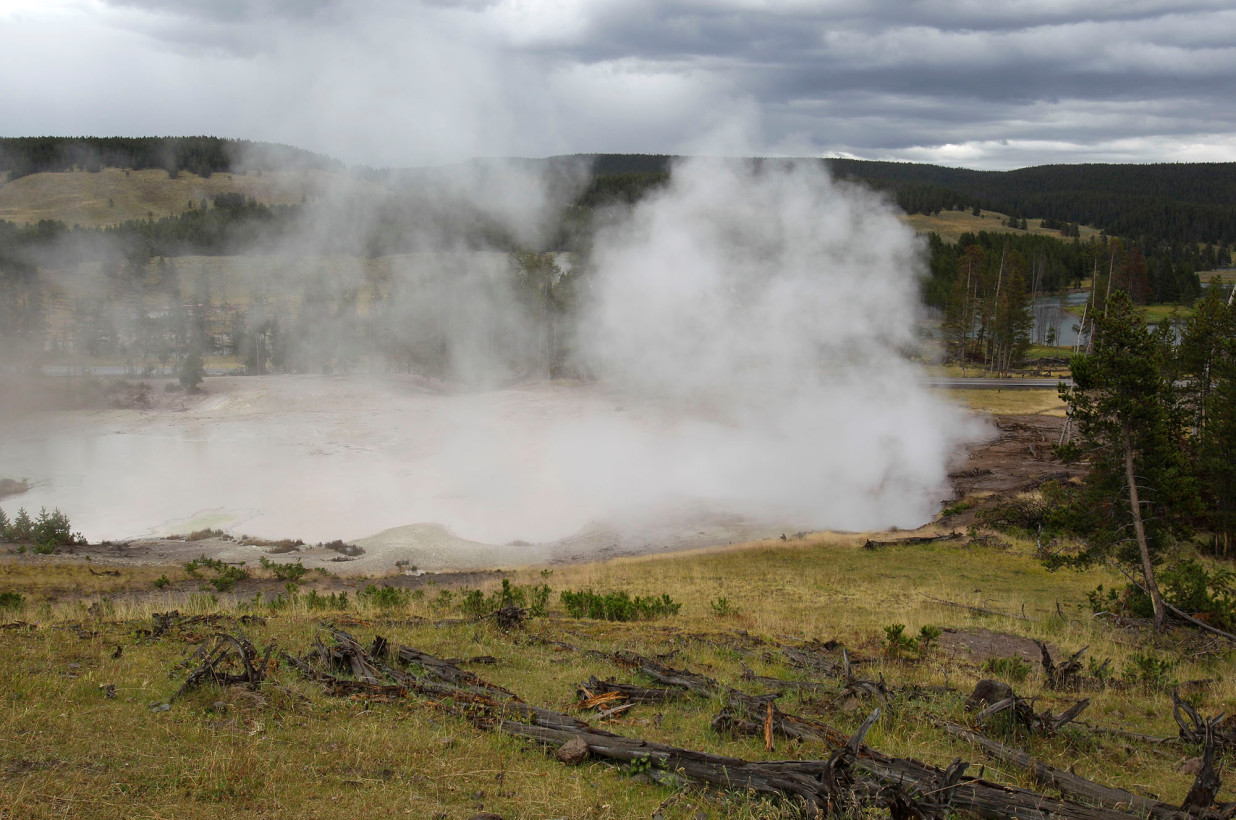 Mujer intentó fotografiar a un bisonte y fue atacada brutalmente en el Parque Nacional de Yellowstone