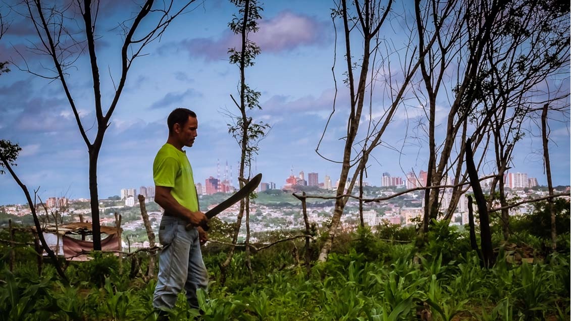 Guayaneses siembran conucos en la ciudad para paliar la crisis alimentaria