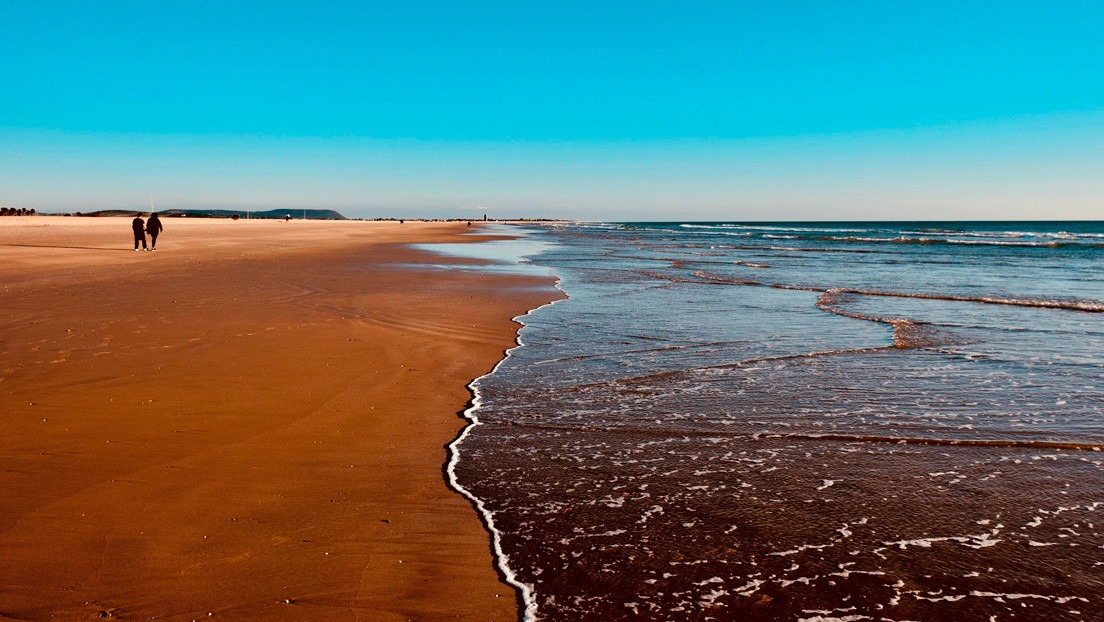 ¿Qué será? Intriga en las redes por el hallazgo de un animal extraño en las playas de Australia (FOTO)