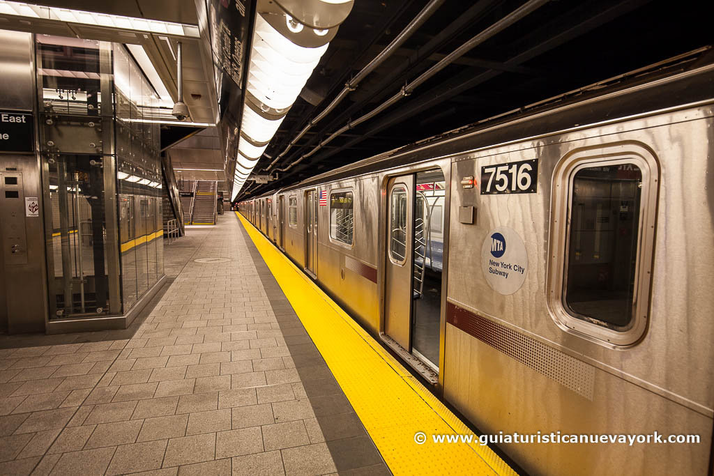 ¿Se volvió loca? La modelo favorita de Chávez se fotografió sin ropa en el metro de Nueva York