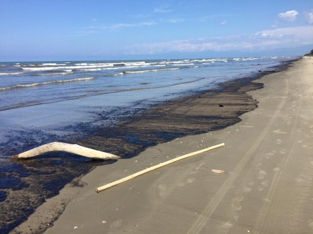 La pesca contaminada en Falcón, secuelas del derrame petrolero