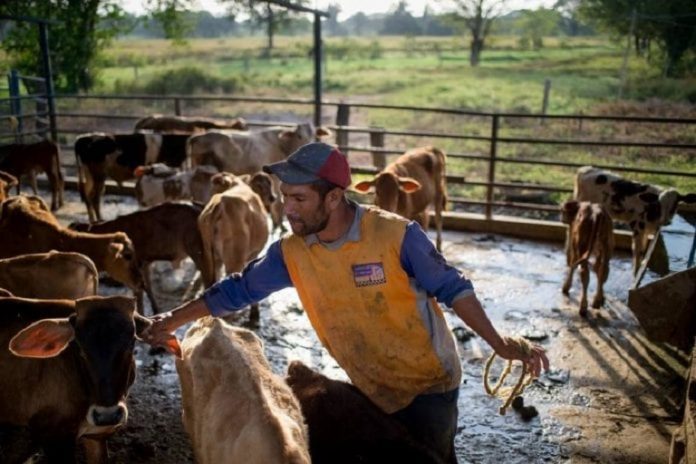 Productores y ganaderos exigen gasolina a Maduro: No estamos produciendo, nuestro pueblo va a pasar hambre