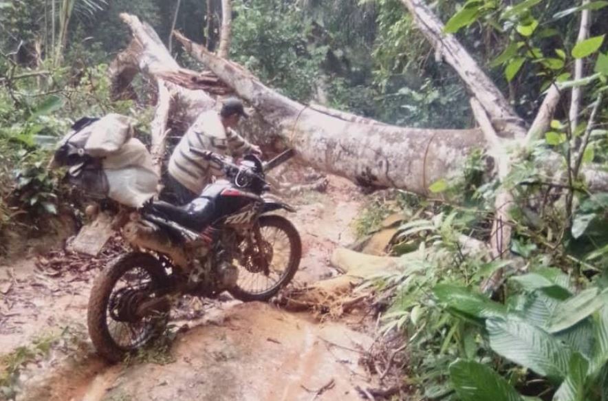 Imágenes sensibles: Fue mordido por una fiera y la falta de gasolina en Bolívar pone su vida en juego