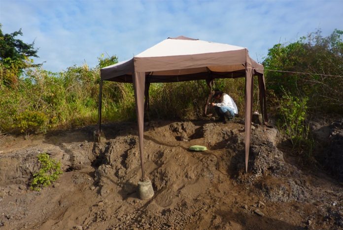 Descubrieron en Monagas el fósil de murciélago vampiro gigante más antiguo del mundo