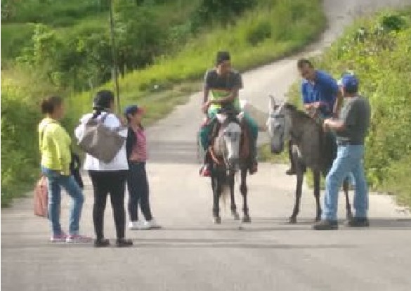 ¡Sin temor a nada! Habitantes en Caripe salieron hasta en burro para participar en la Consulta Popular #12Dic (FOTOS)