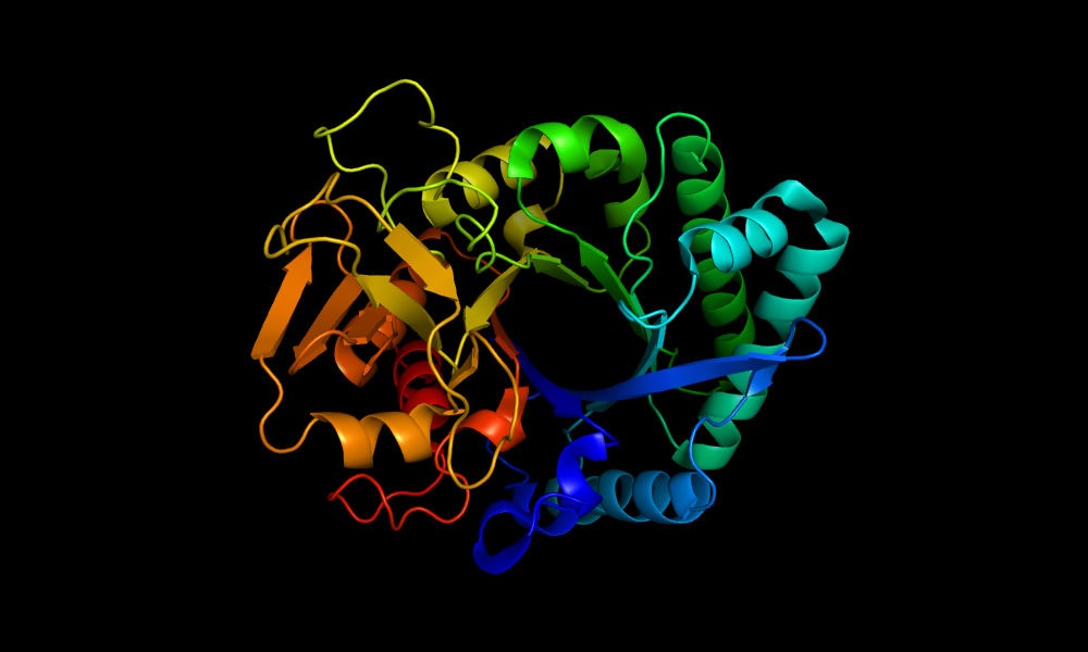 Laboratorio de Inteligencia Artificial descifra las proteínas