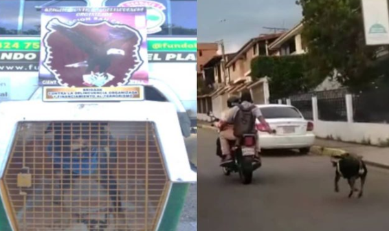 Detienen a hombre que arrastró a su perro atado con mecate mientras iba en una moto en Táchira