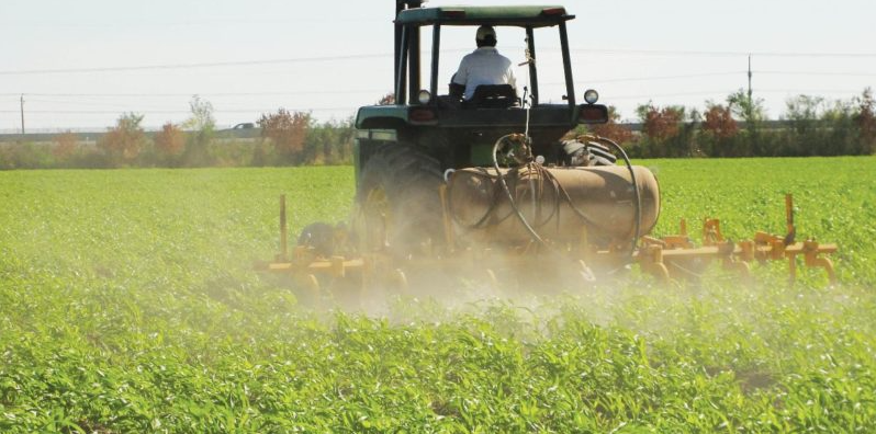 Producción de alimentos es sostenida en 95% por esfuerzo privado pero cubre solo 20% de la demanda