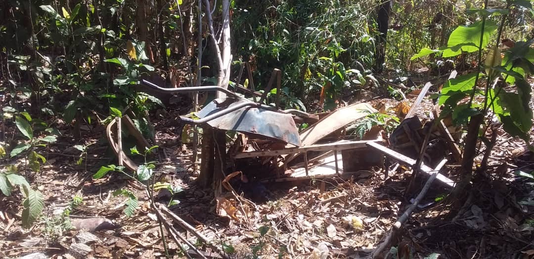 Localizan a un recién nacido abandonado en un terreno baldío en Barinas