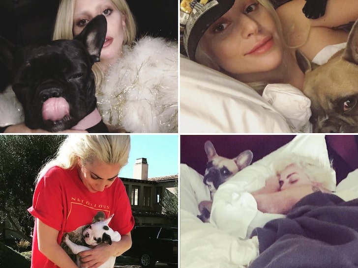 Al paseador de los perros de Lady Gaga le dispararon cuatro veces en el pecho y le robaron dos Bulldogs