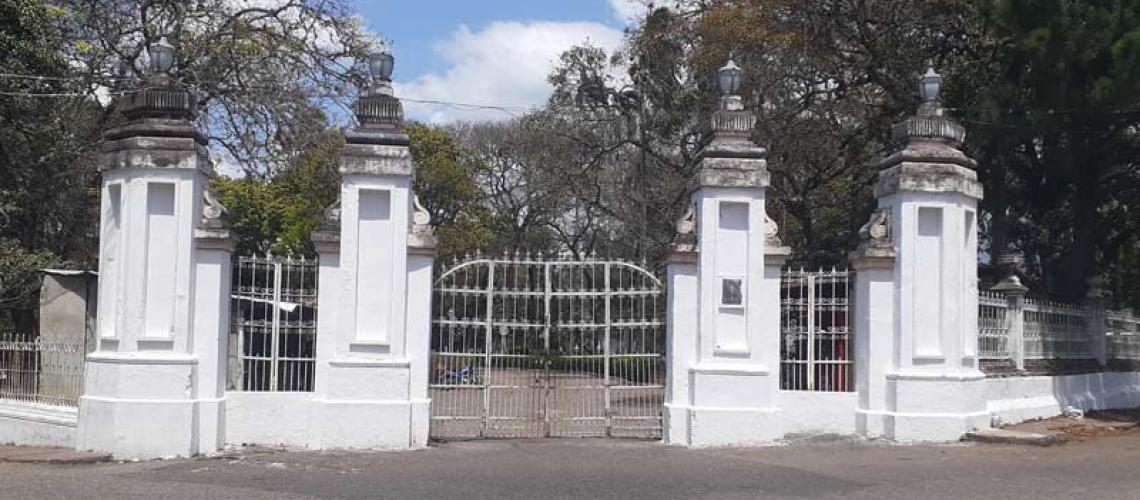 Al menos 30 heridos tras brutal ataque de abejas en un cementerio de San Cristóbal